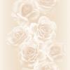 26P 2119-2.jpg class=